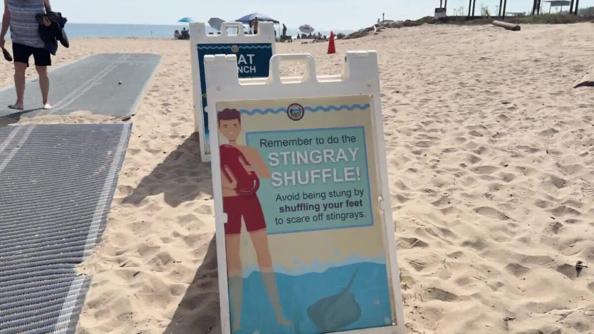 Warming Ocean Waters are Raising Stingray Concerns on the South Coast