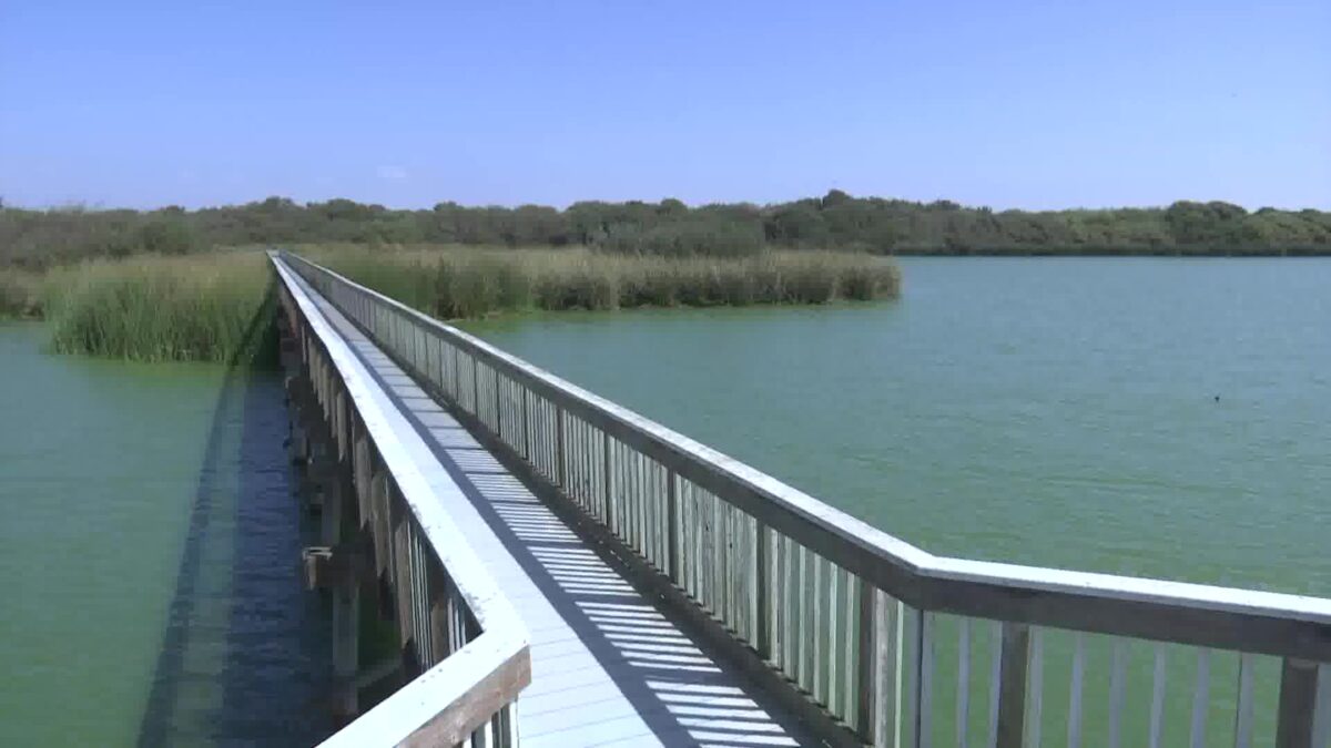 Volunteers needed for annual ‘Creeks to Coast Cleanup’