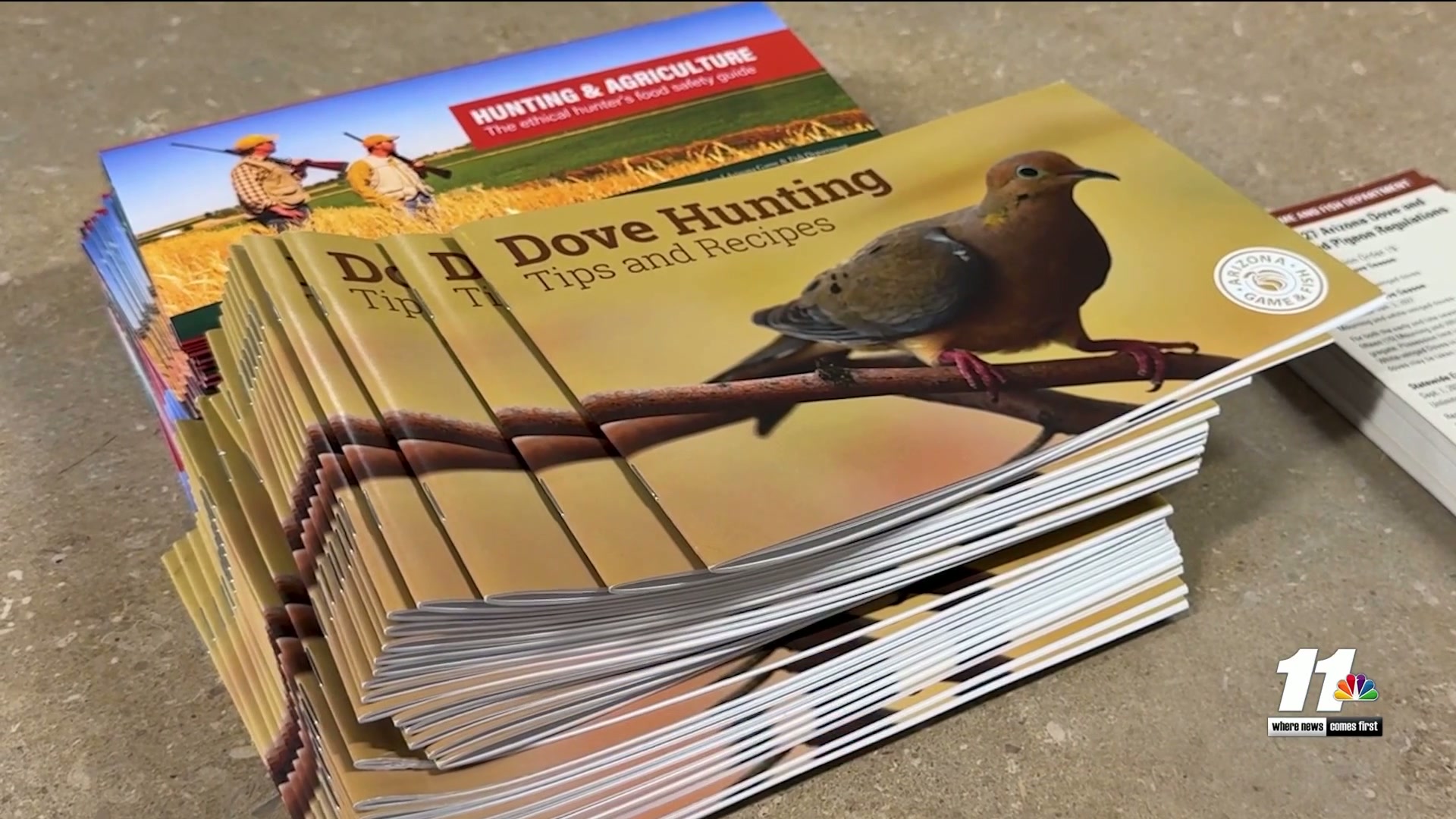 Dove-hunting season begins in Yuma with safety reminders for hunters
