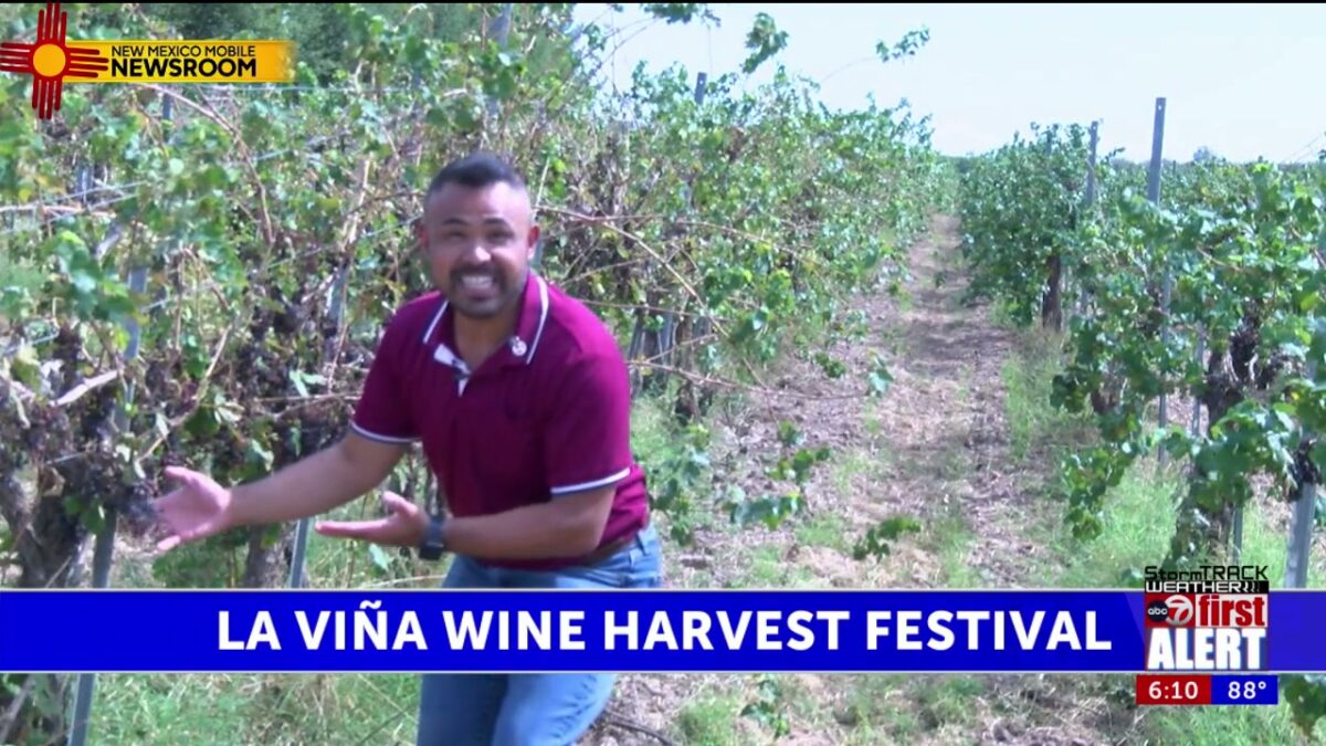 La Viña Harvest Wine Festival set for Sept. 19-20
