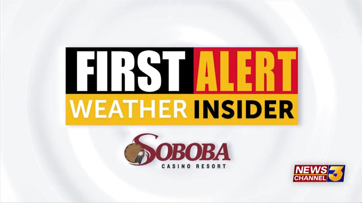 Volatile weather: residents react to sudden thunderstorm