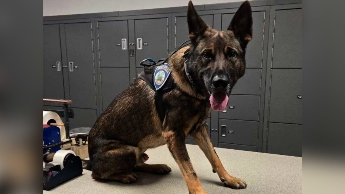 Indio Police K-9 Hoki dies