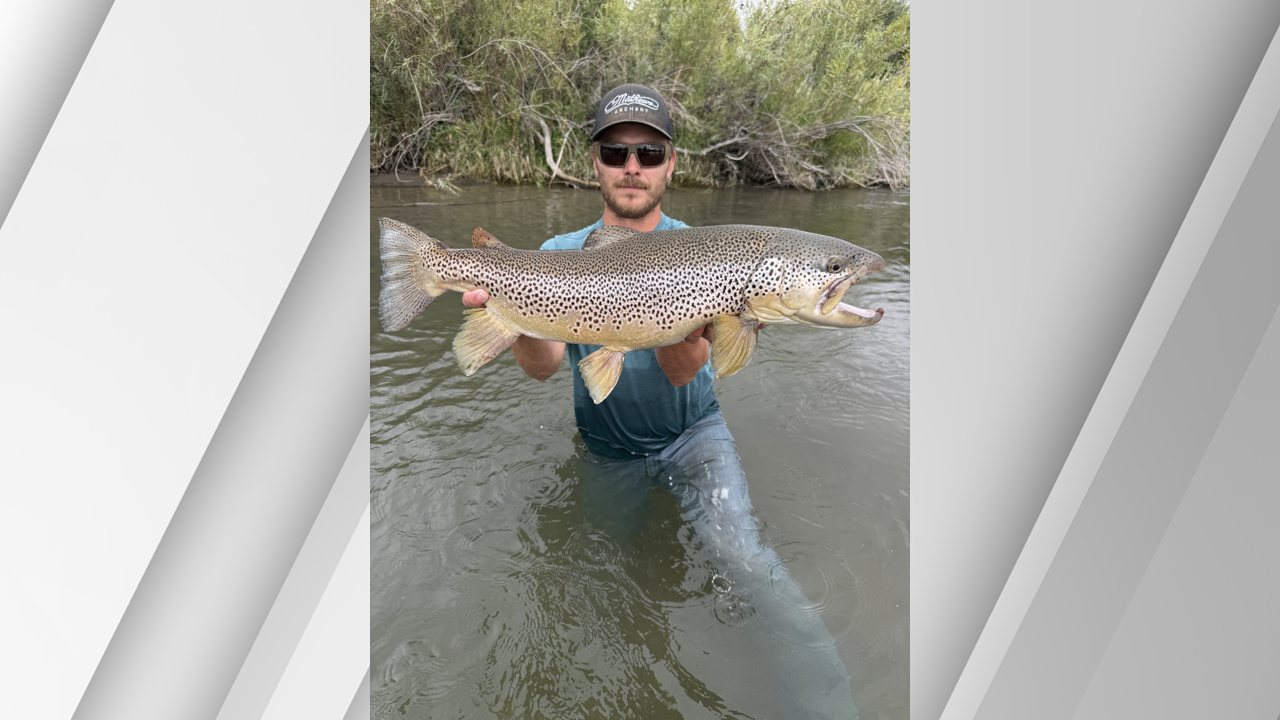 Benjamin Smith breaks Idaho brown trout record in Franklin County