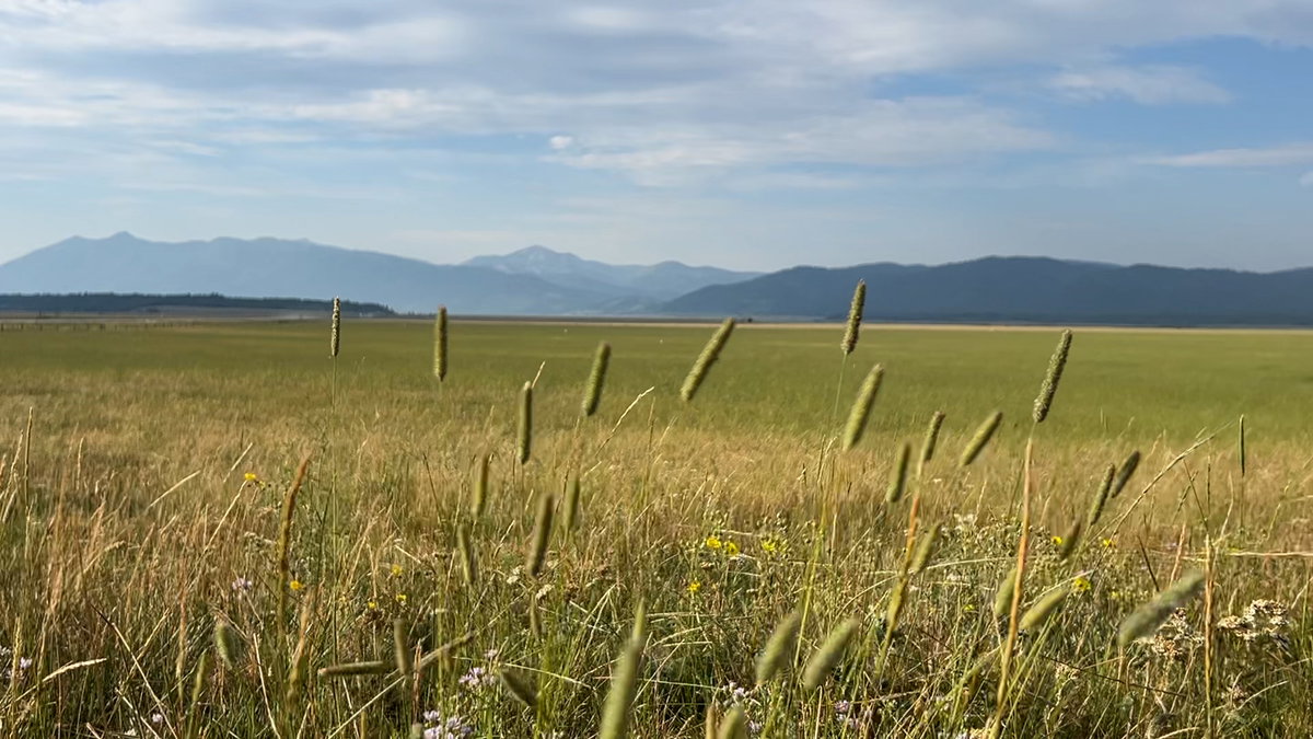 Fremont County Commissioners deny request to review Caldera Flats decision; Henrys Lake Flats Coalition to appeal in court