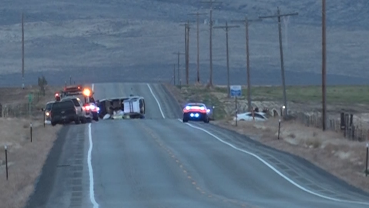 A Pocatello man was killed in a head-on crash on Highway 93 north of Rogerson