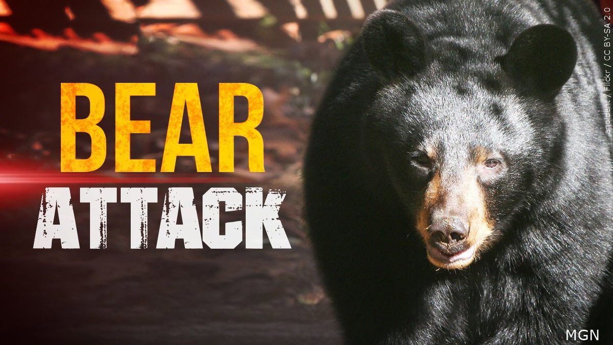 Dangerous bear attacks two in Salmon neighborhood