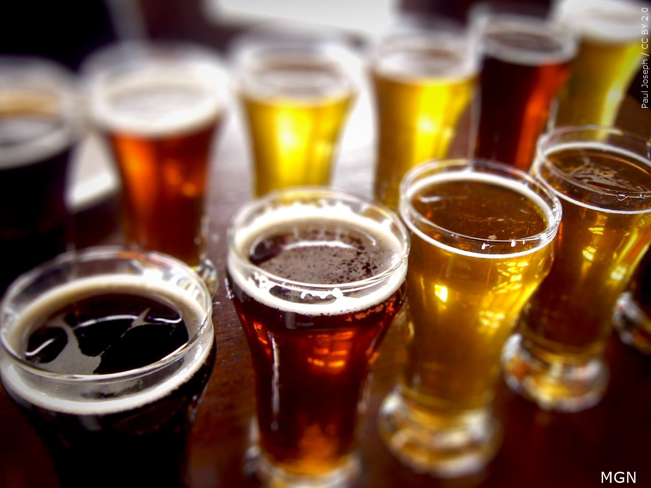 El Paso Zoo Hosts “Brew at the Zoo” Fundraiser for Conservation