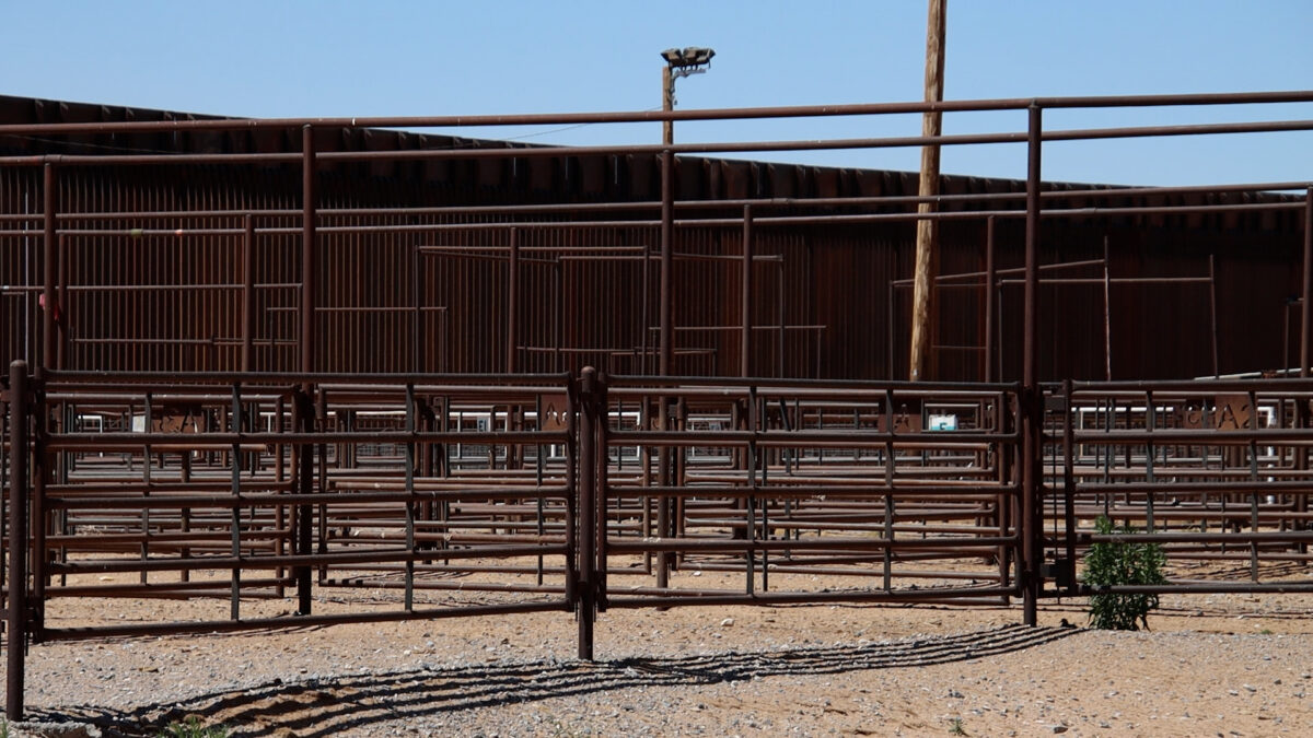 New World screwworm detected in Otero County and Texas