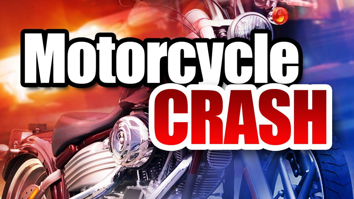 Highway 31 Crash: Harley rider hospitalized after colliding with bear