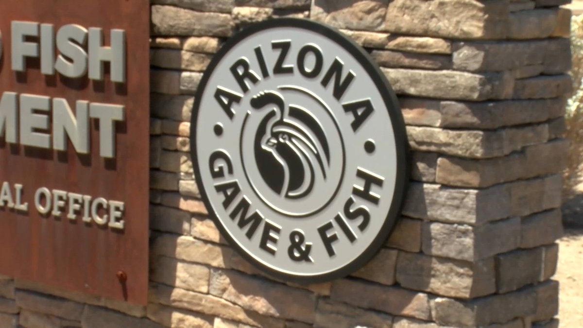 Arizona Game and Fish Department asks Arizonans to be on lookout for Screwworms