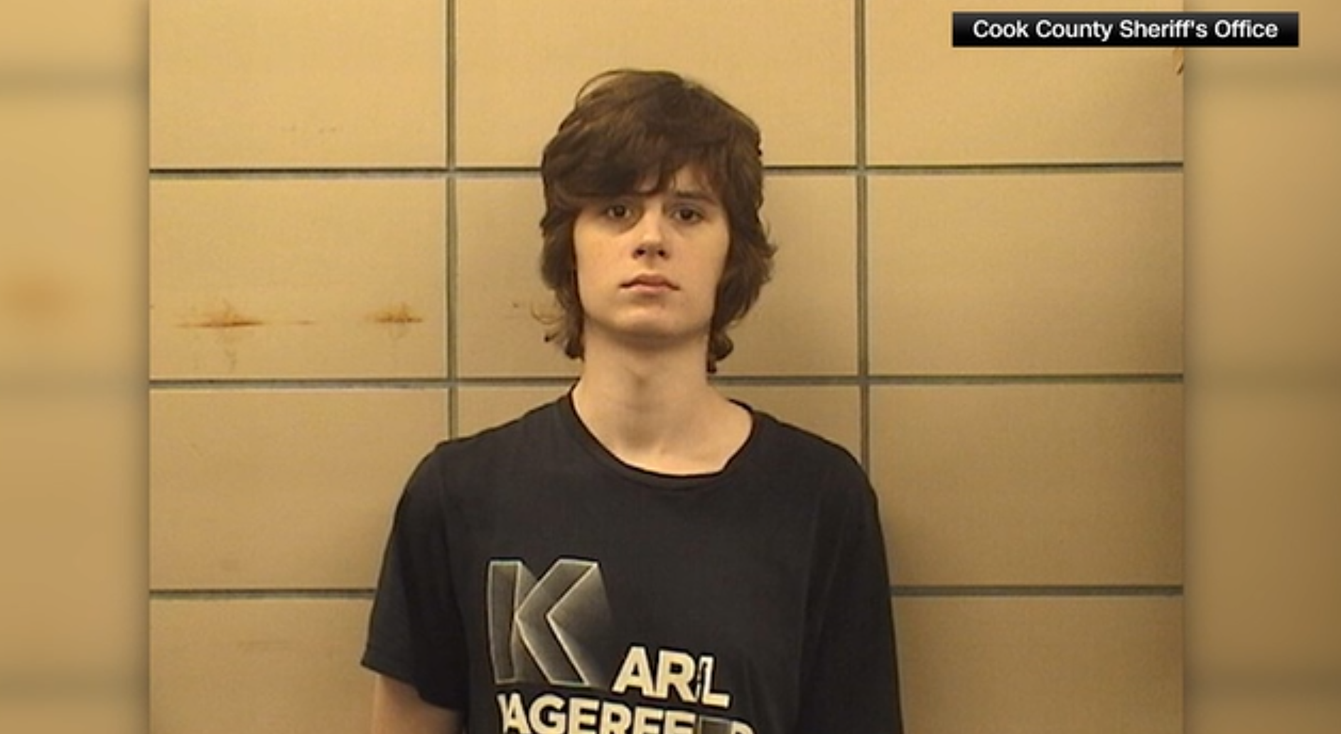 A teenager in Palatine