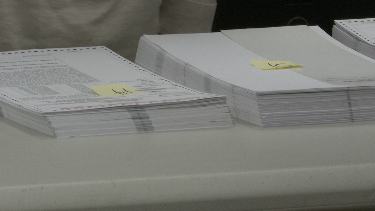 Proposed Marijuana and English language State Constitutional amendments are on Idaho’s ballot