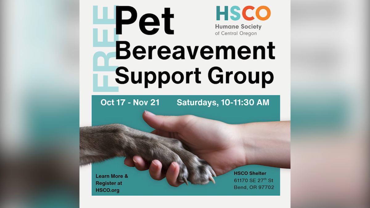 HSCO offering free Pet Bereavement Support Group