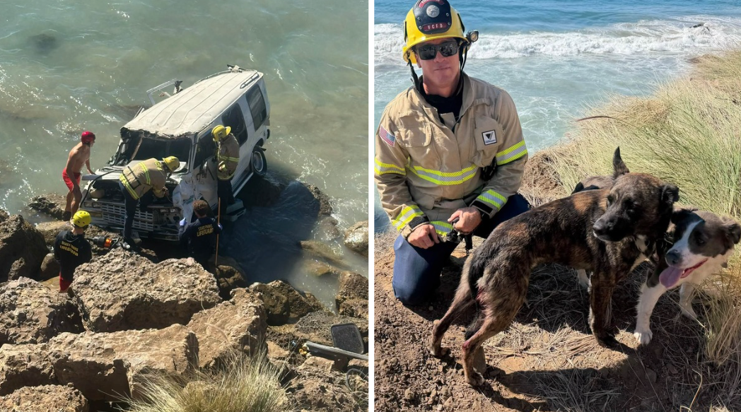 Ventura County firefighters rescued a dog that was trapped inside a car that veered off the side of the Pacific Coast Highway and into the ocean near Malibu on Saturday.
