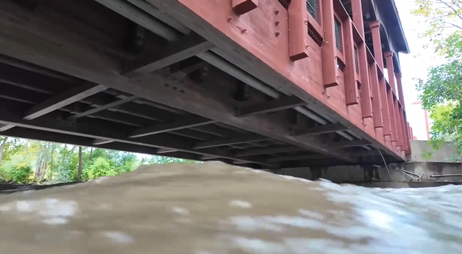 A fish species so sensitive to pollution it vanished from the lower Rouge River more than 100 years ago has been found again — and environmental groups say it is a sign that decades of cleanup and restoration work are paying off.