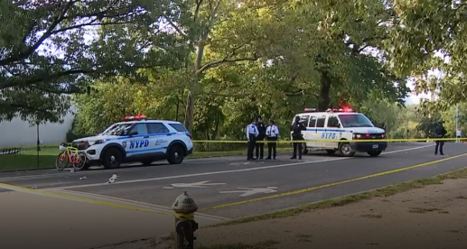 A 71-year-old man was killed on October 5 after he was thrown from his bike after hitting an off-leash dog in Central Park.