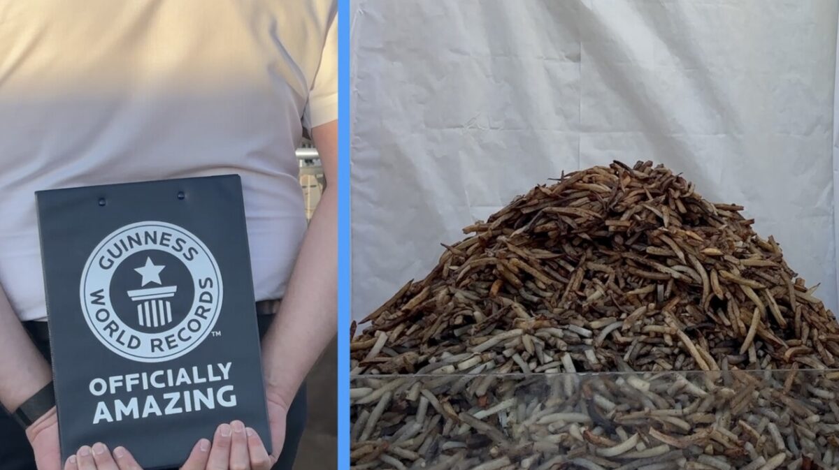 Idaho is now home to a new Guinness World Records title.
