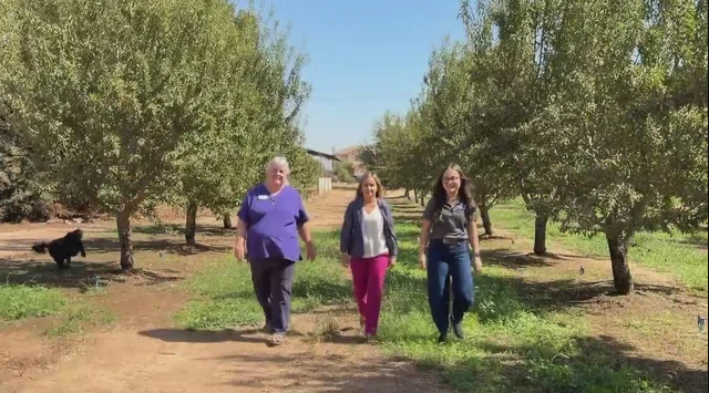 Agriculture has long been a family business across California's Central Valley