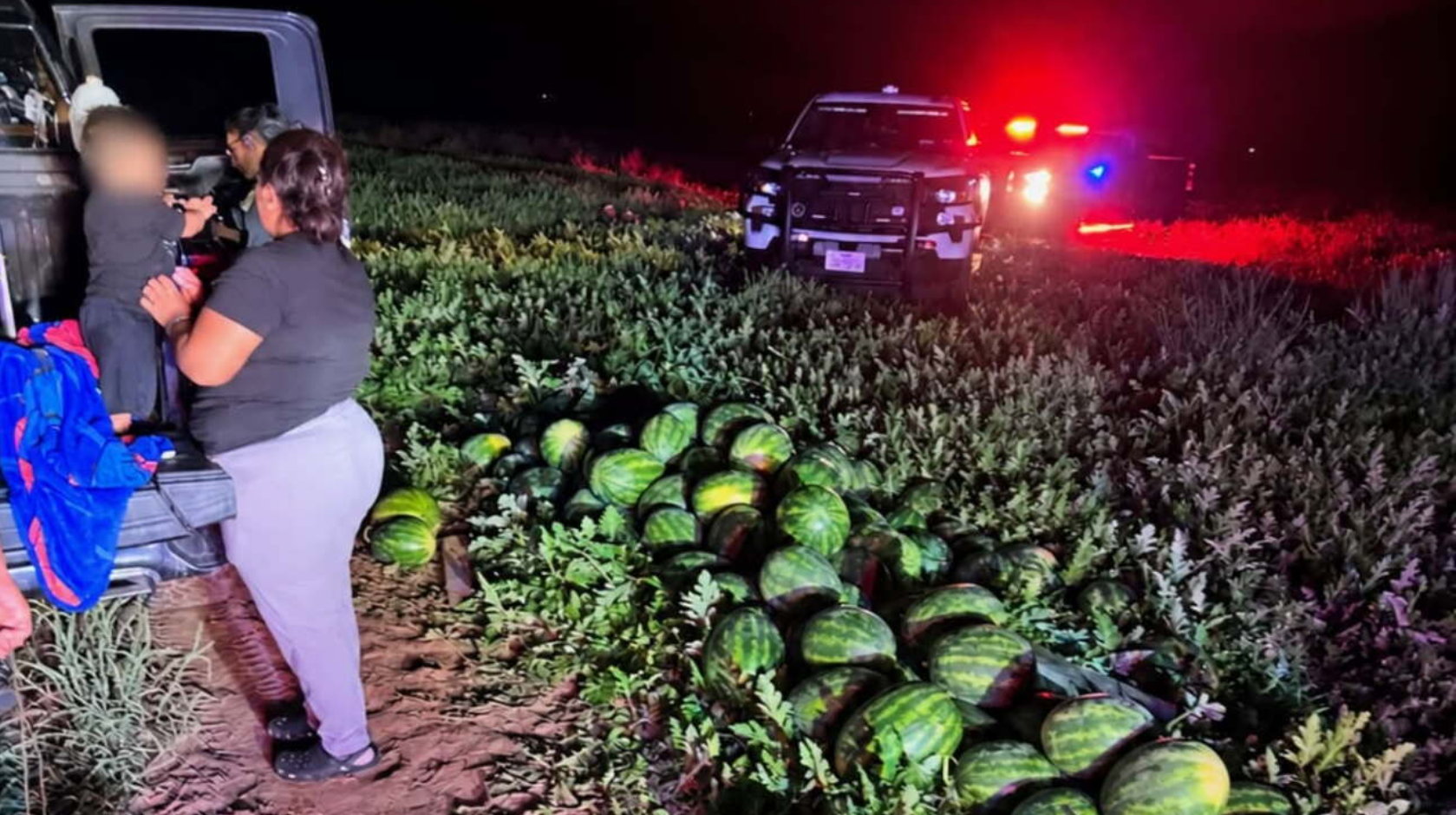 Four people are facing charges after authorities uncovered thousands of dollars' worth of stolen watermelons in Duval County.
