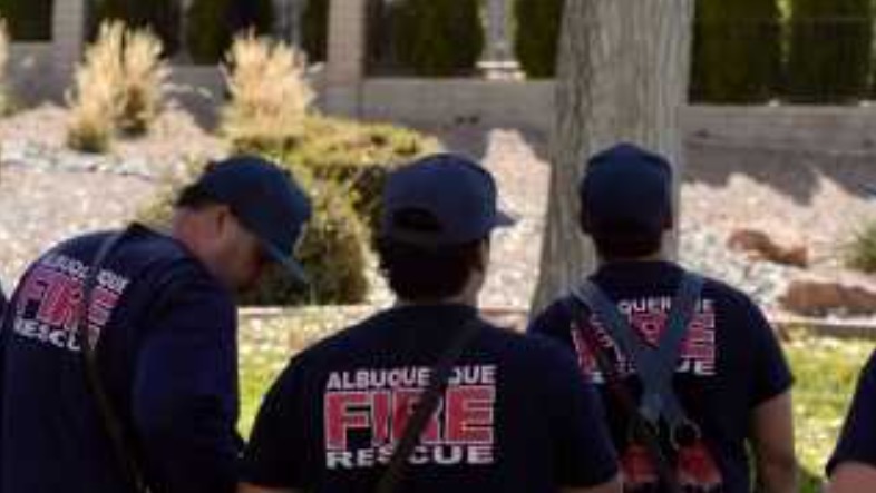 Albuquerque Fire Rescue came to the rescue this morning after crews tried to rescue a mama bear and two bear cubs from a tree at a golf course.