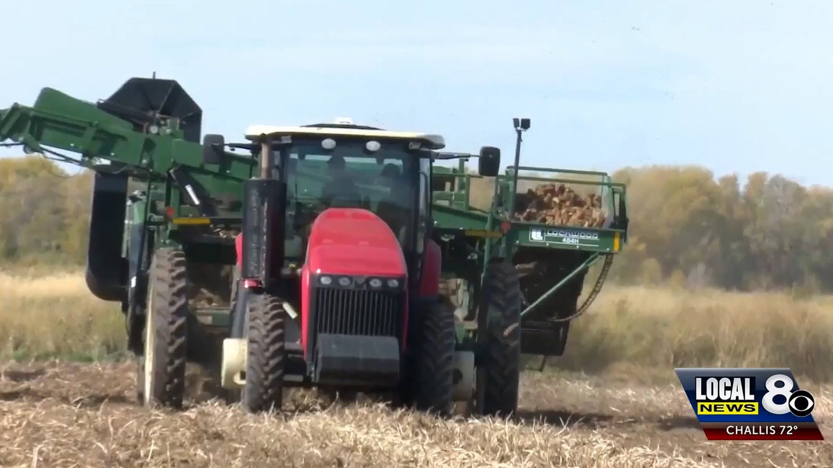 Gov. Little issues executive order to help farmers during critical harvest season