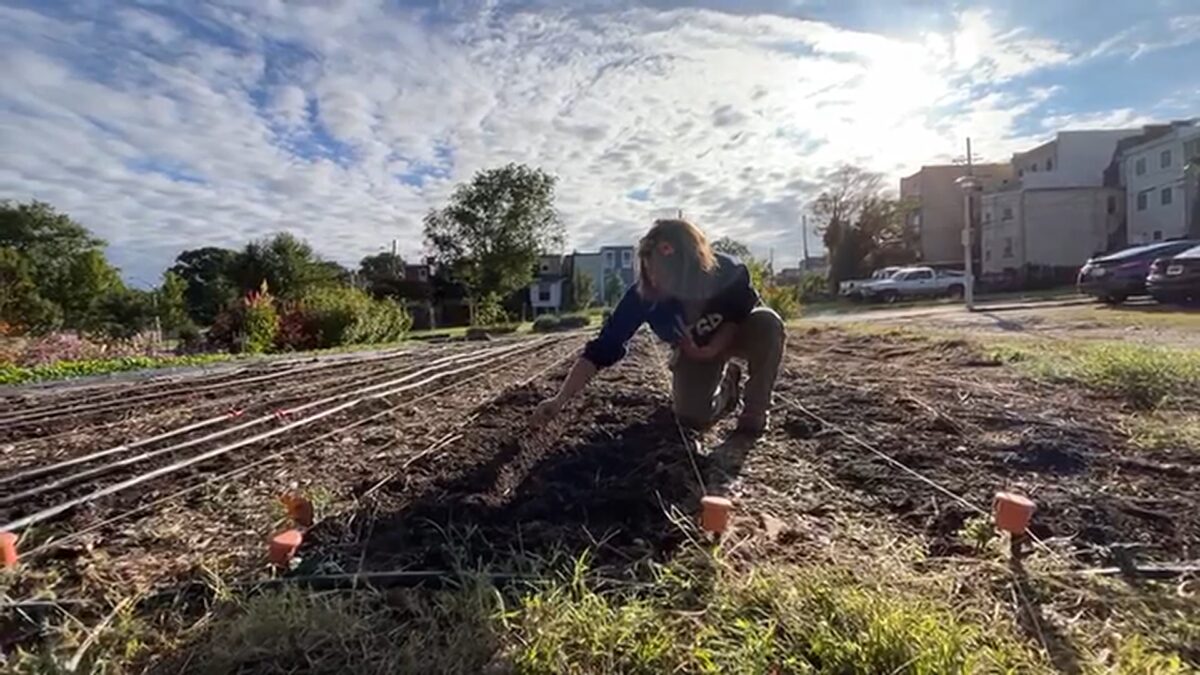 A Baltimore nonprofit founded by military veterans is revitalizing vacant lots into green spaces and urban farms