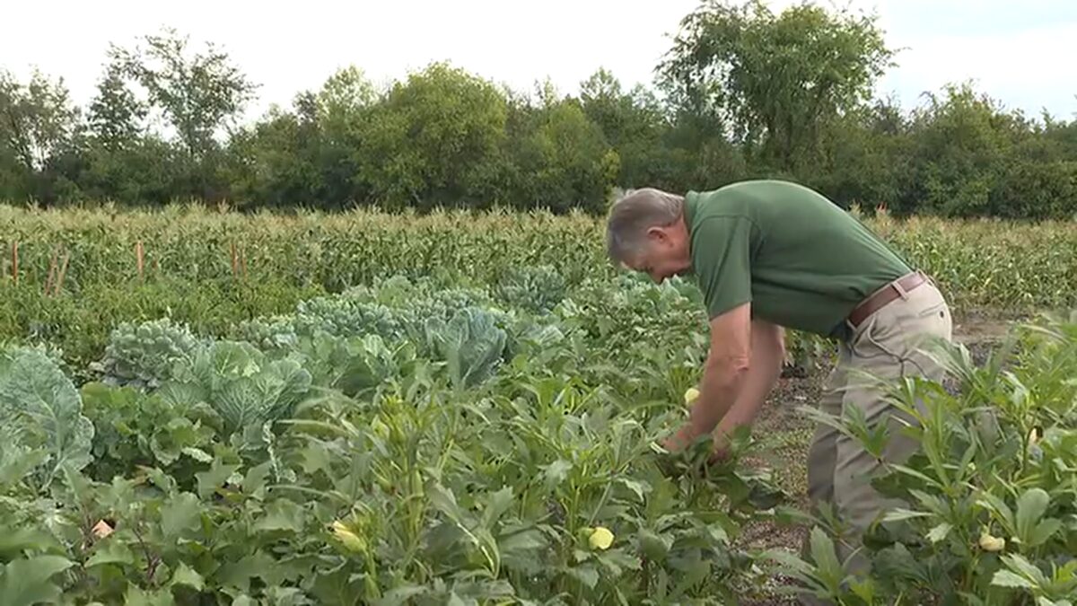 A local farm is shutting down parts of its production as rising diesel and part prices make it harder to turn a profit.