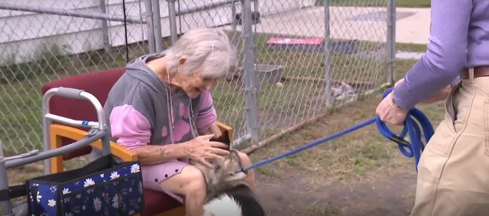 Joyce Emerson's nearly 20 years of dedication helped push Gloucester County Animal Control to historic no-kill status.