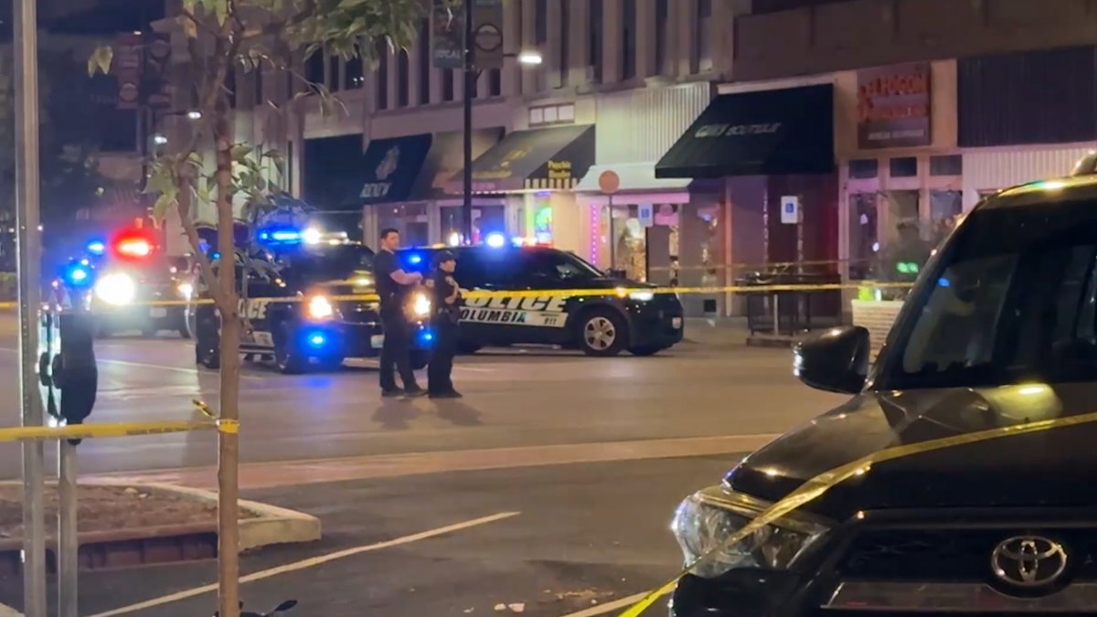 New CPD data shows crime fell overall during past year