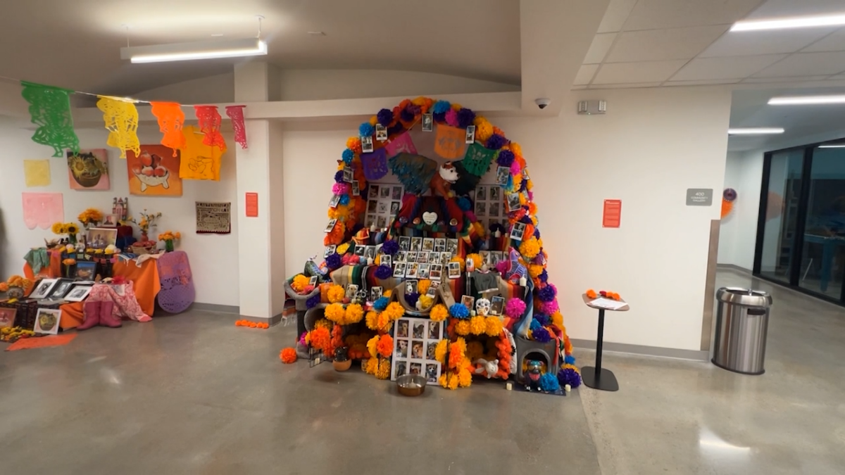 Photo submissions open for pet ofrenda at El Paso’s MACC