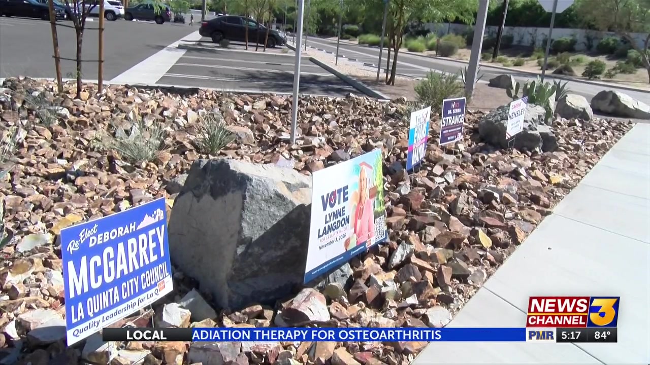 Signs of the Season: Do campaign signs really change votes?