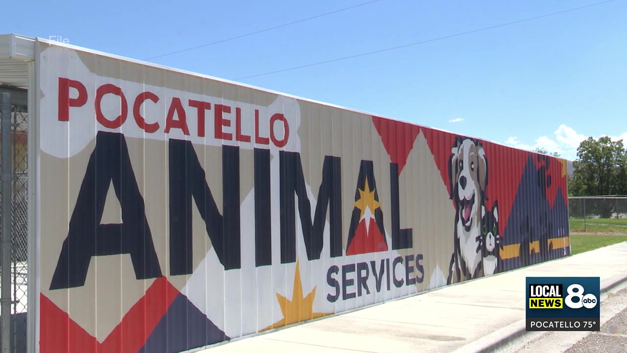 Adoption fee prices increase at Pocatello Animal Services due to high animal care costs