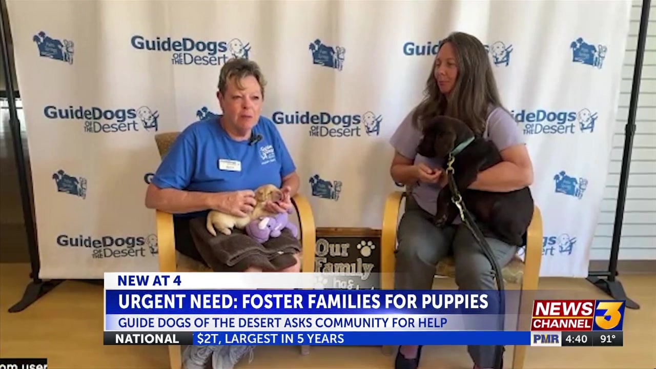 Guide Dogs of the Desert has an urgent need for foster families
