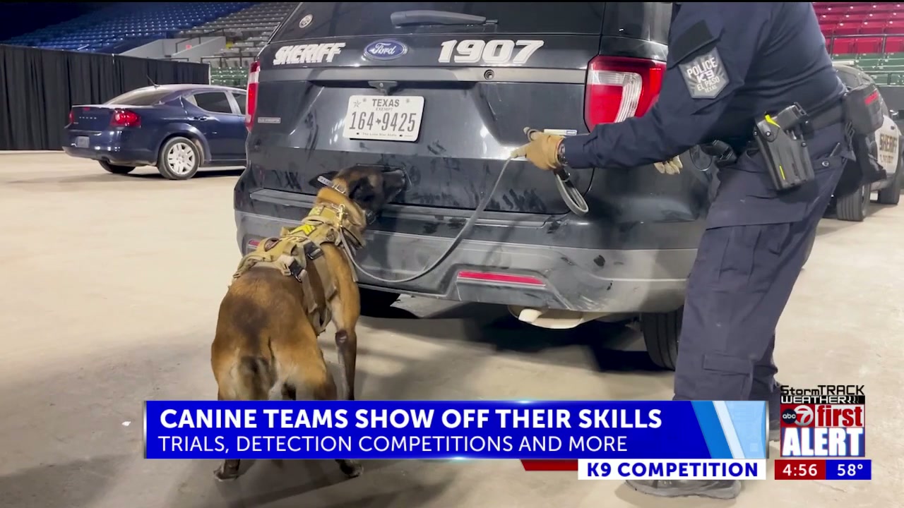 Meet El Chuco 2026 K9 Competition’s Top Dog team