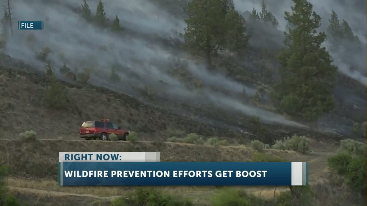 Oregon invests $10 million in landscape resiliency to combat wildfires