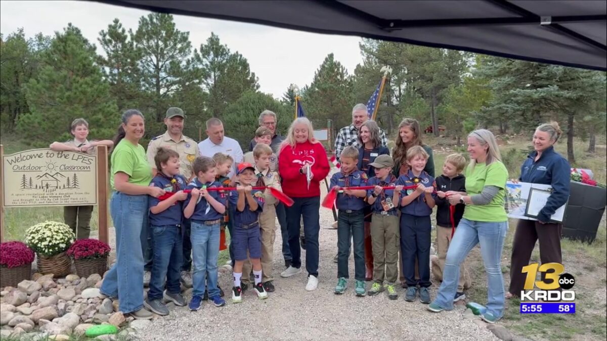The School Buzz: Scouts