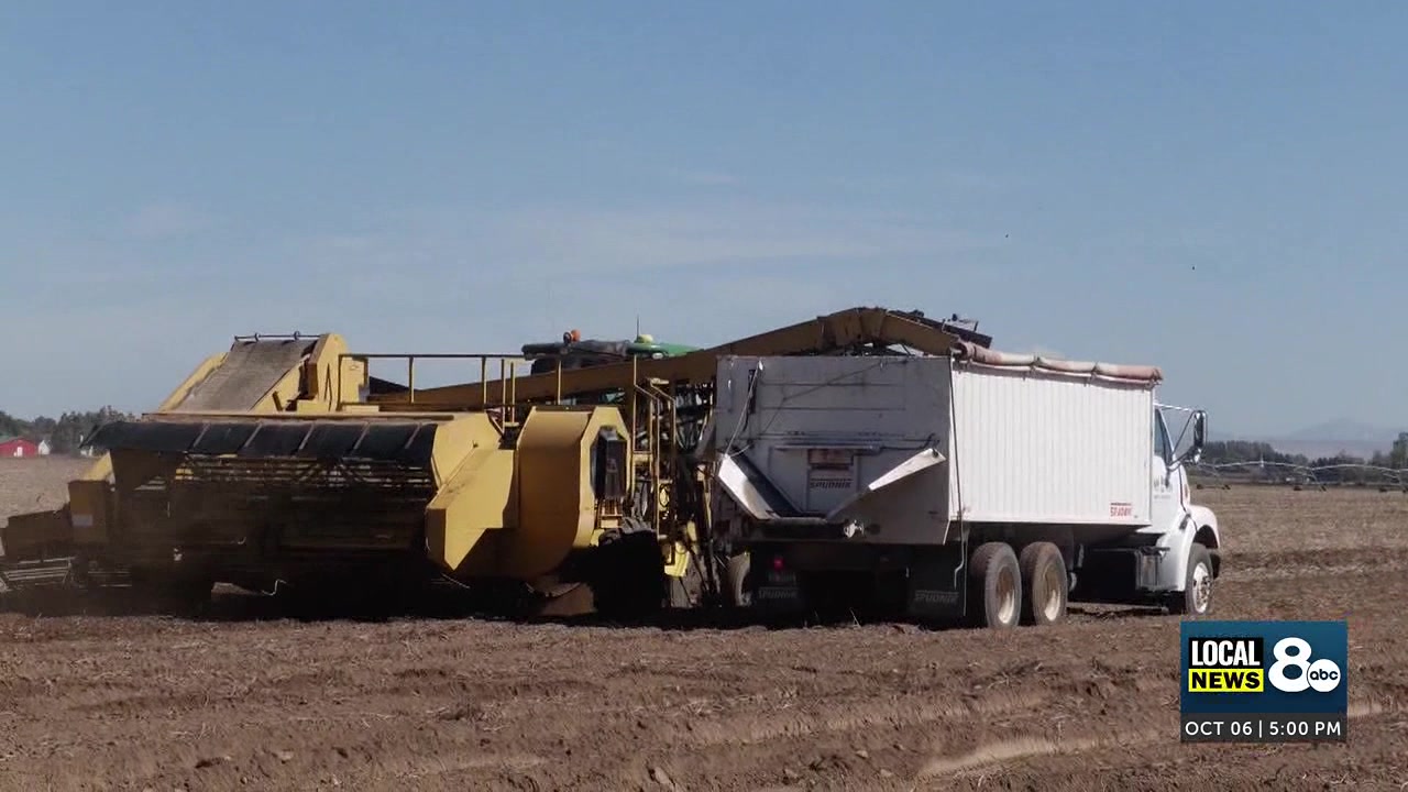 Idaho potato production faces setbacks from low prices and water scarcity
