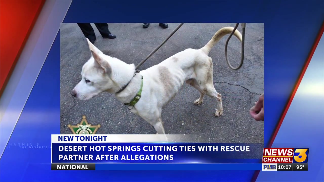 Desert Hot Springs addresses allegations of animal abuse and neglect at partner rescue organization in Washington