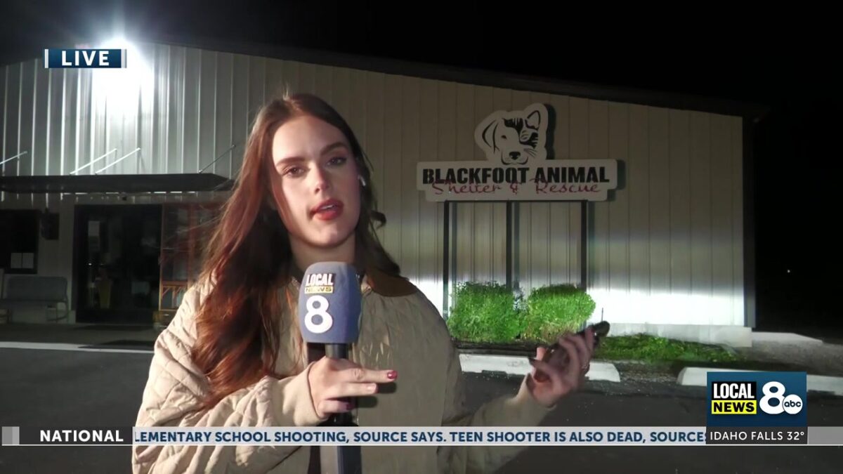 Authorities seek help after three dogs found shot in Blackfoot