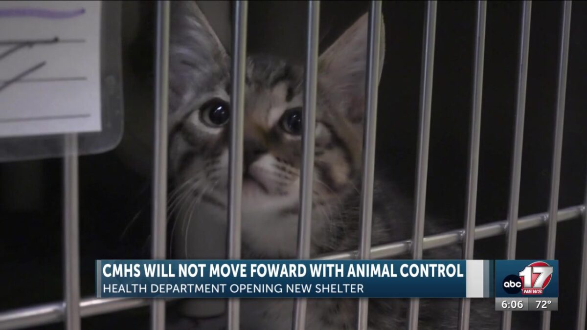 PHHS’ partnership with CMHS to end with move to Columbia Animal Hospital