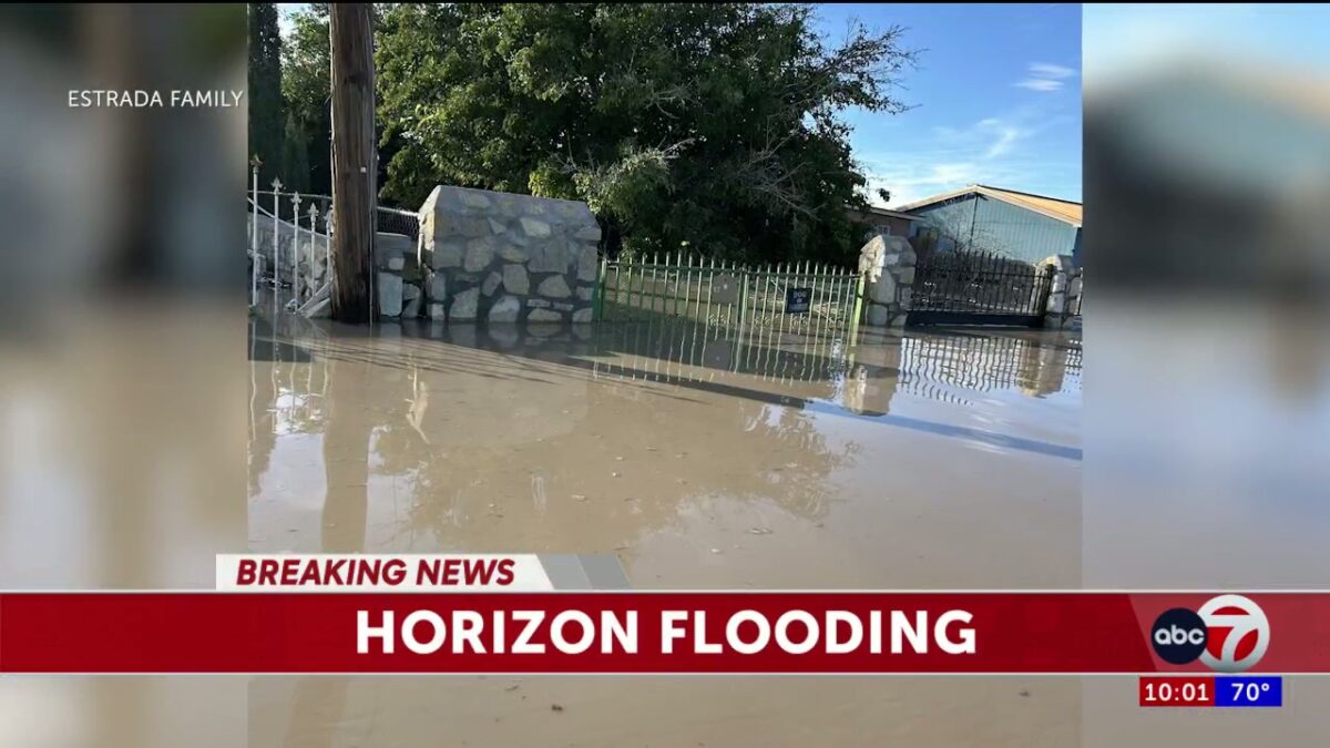 Flooding in Horizon kills 1 pet