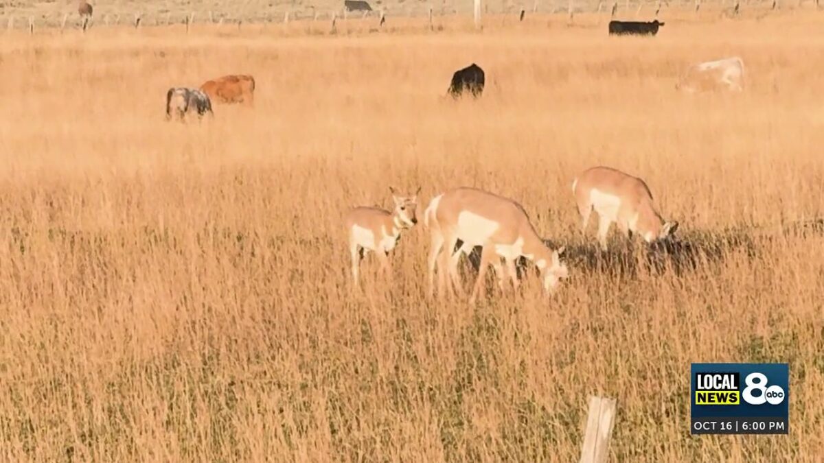‘What could be lost will be gone forever:’ Fremont County Commissioners deny request to review Caldera Flats subdivision decision; group to appeal in court