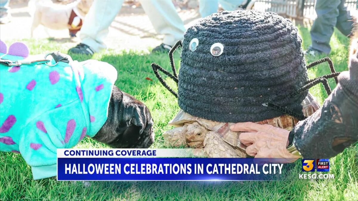 Cathedral City celebrates Halloween weekend with free family events