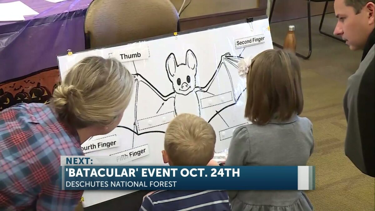 ‘Batacular’ brings bat-themed education to Bend on Oct. 24