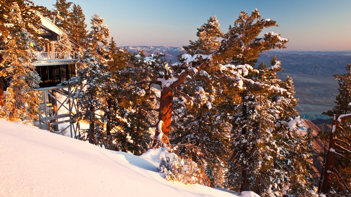 Palm Springs Aerial Tramway to start annual snow-guessing contest